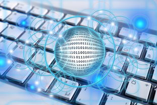 爱游戏体育app-篮球专项技能教学创新实践及效果评估，篮球教学实施报告 教学能力比赛