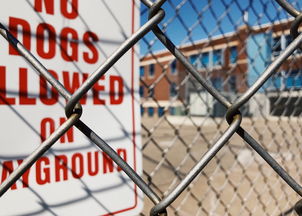 爱游戏平台-青少年安全教育模式，青少年安全教育模式是什么