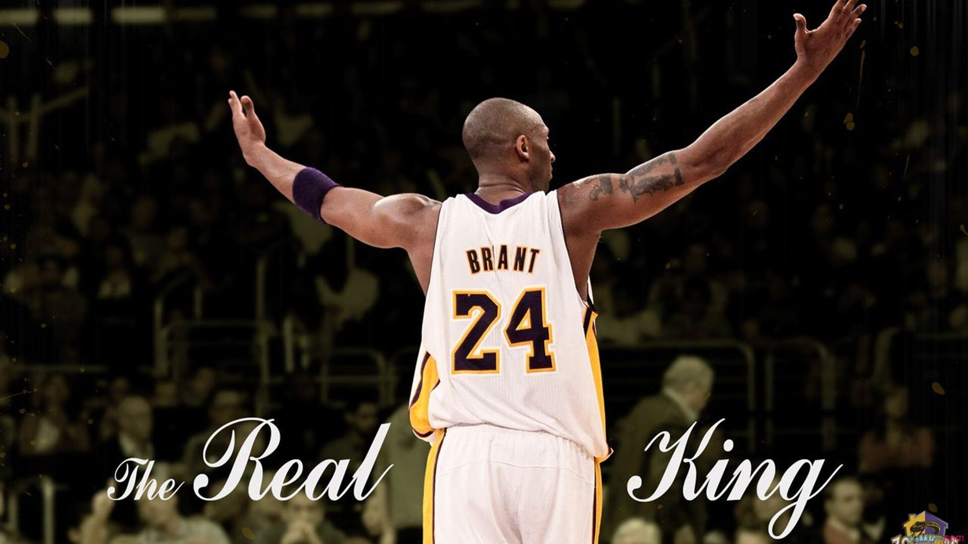 主力后卫伤愈复出带动球队整体进攻节奏显著提升,后卫在球队作用